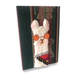 manos obreras, artesanas, mujeres, la paz bolivia, cuadernos, hecho a mano, pintado